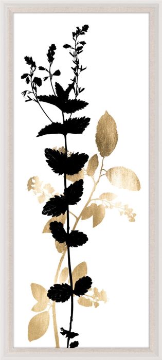Natural Curiosities Black and White Herbarium Art