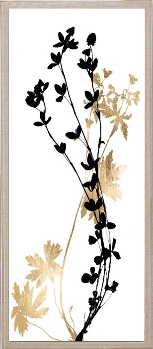Natural Curiosities Black and White Herbarium Art