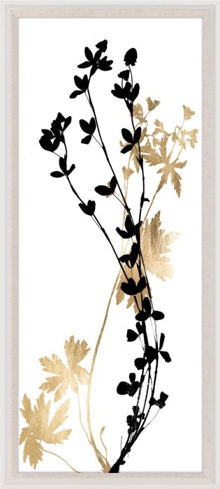 Natural Curiosities Black and White Herbarium Art