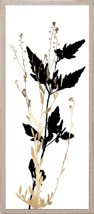 Natural Curiosities Black and White Herbarium