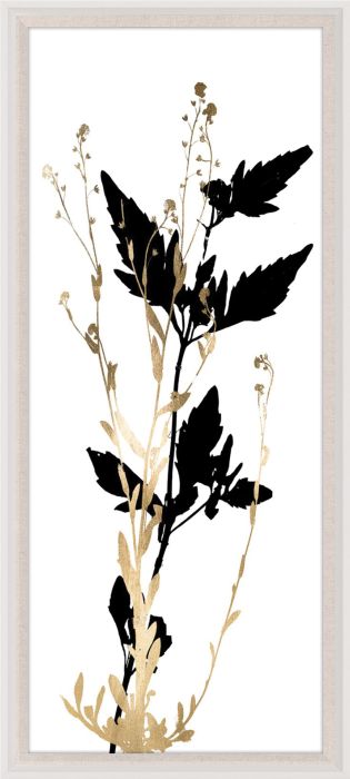 Natural Curiosities Black and White Herbarium Art