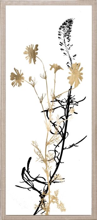Natural Curiosities Black and White Herbarium Art