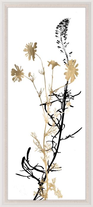 Natural Curiosities Black and White Herbarium Art