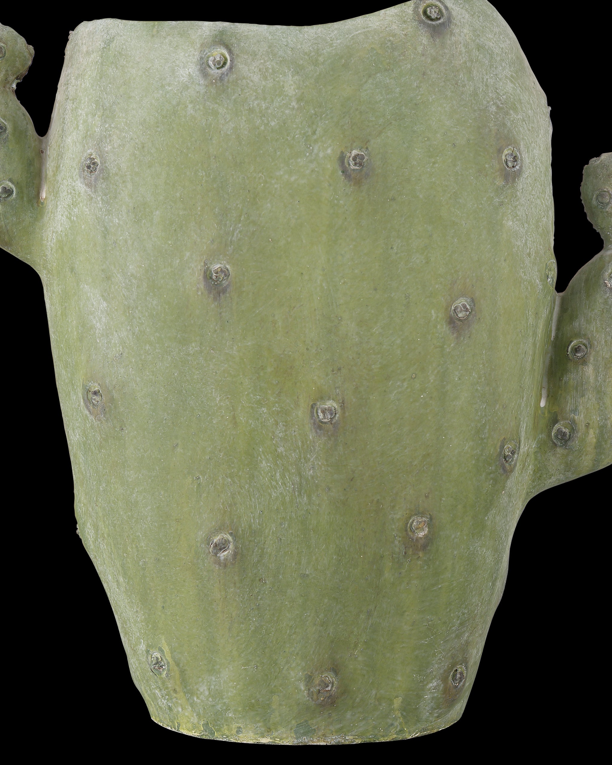 Currey & Company Cactus Vase Set Of 3