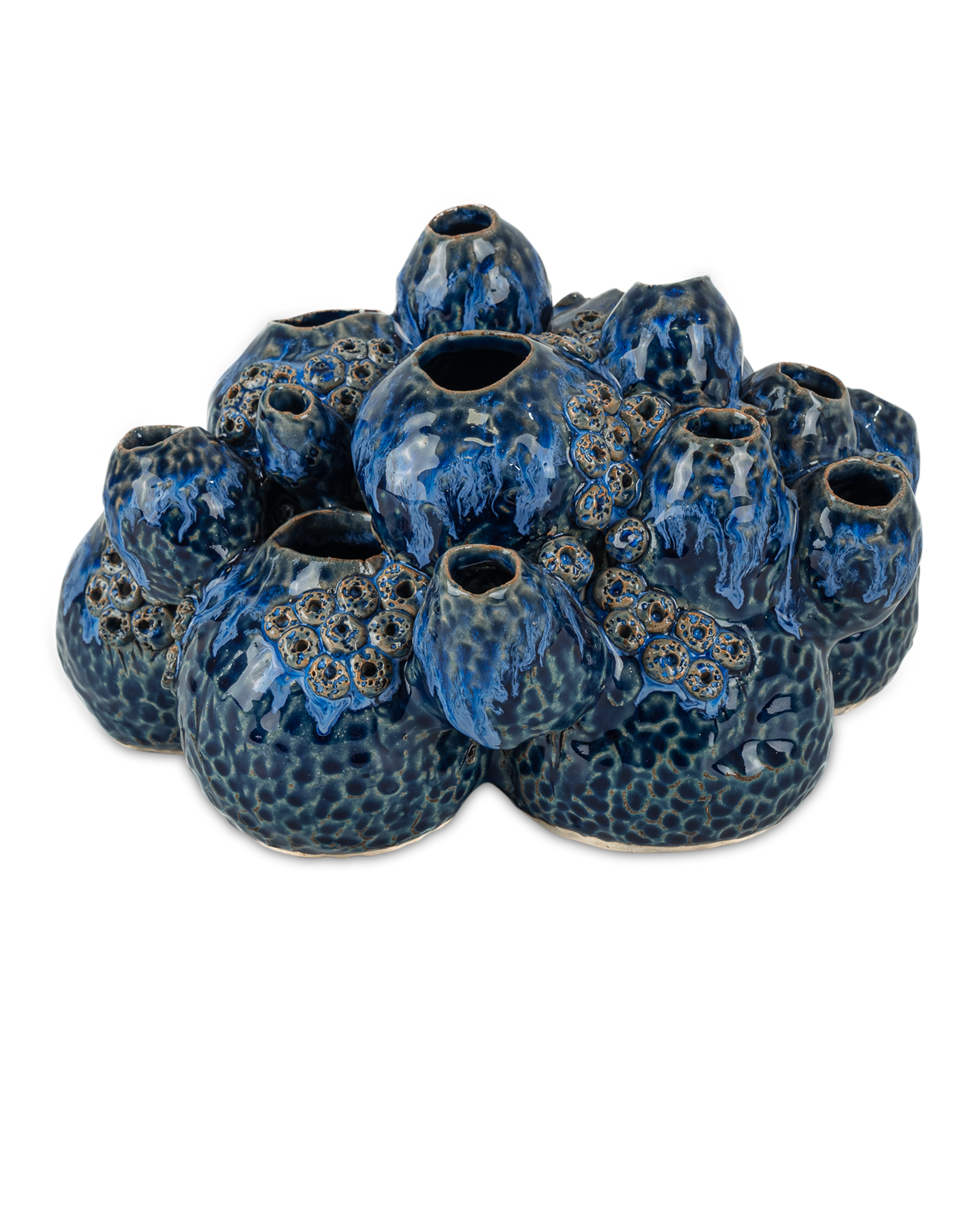 Currey & Company Sulawasi Blue Shells