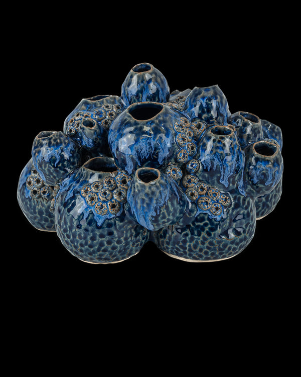 Currey & Company Sulawasi Blue Shells