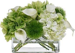 Diane James Blooms Hydrangea And Calla Lily Bouquet