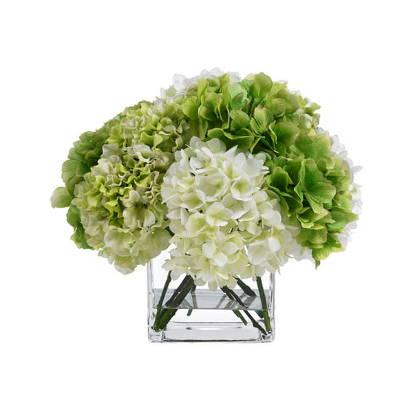 Diane James Blooms Green/Cream Hydrangea Bouquet In Glass Cube