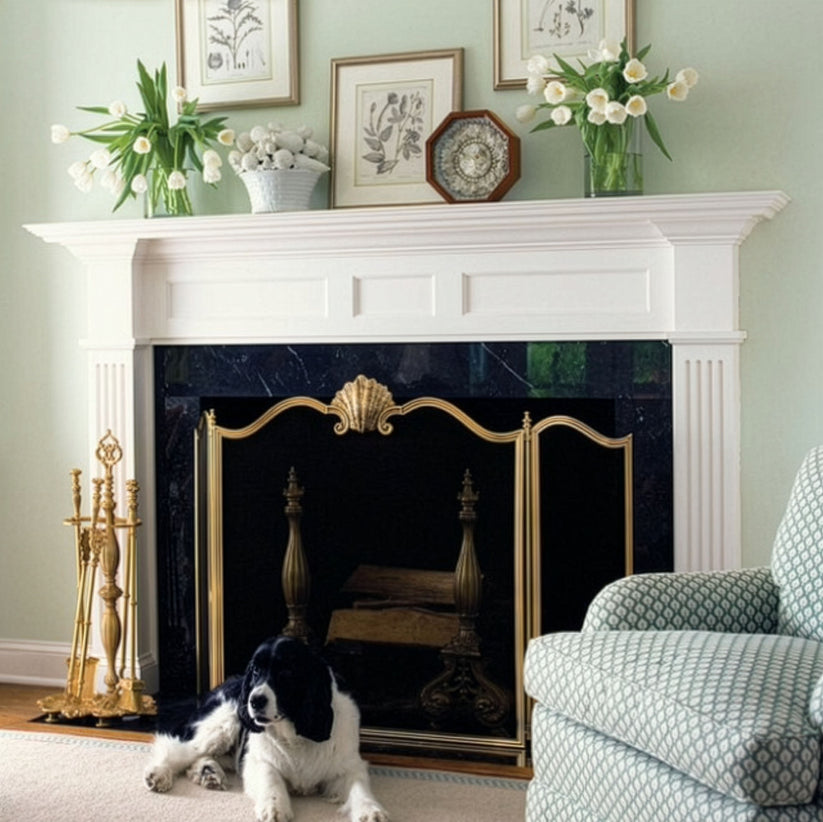 DC  Natalia Brass Fire Screen
