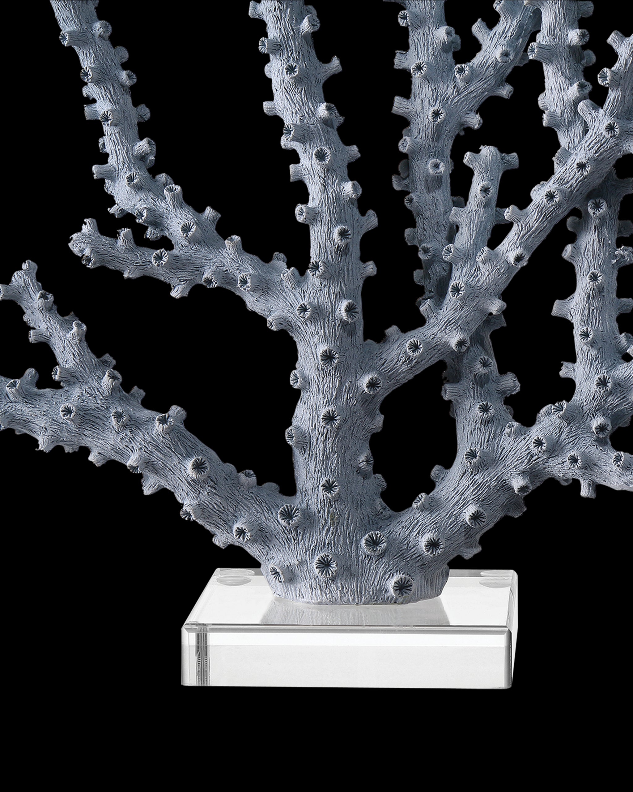 Currey & Company Blue Coral Set Of 2