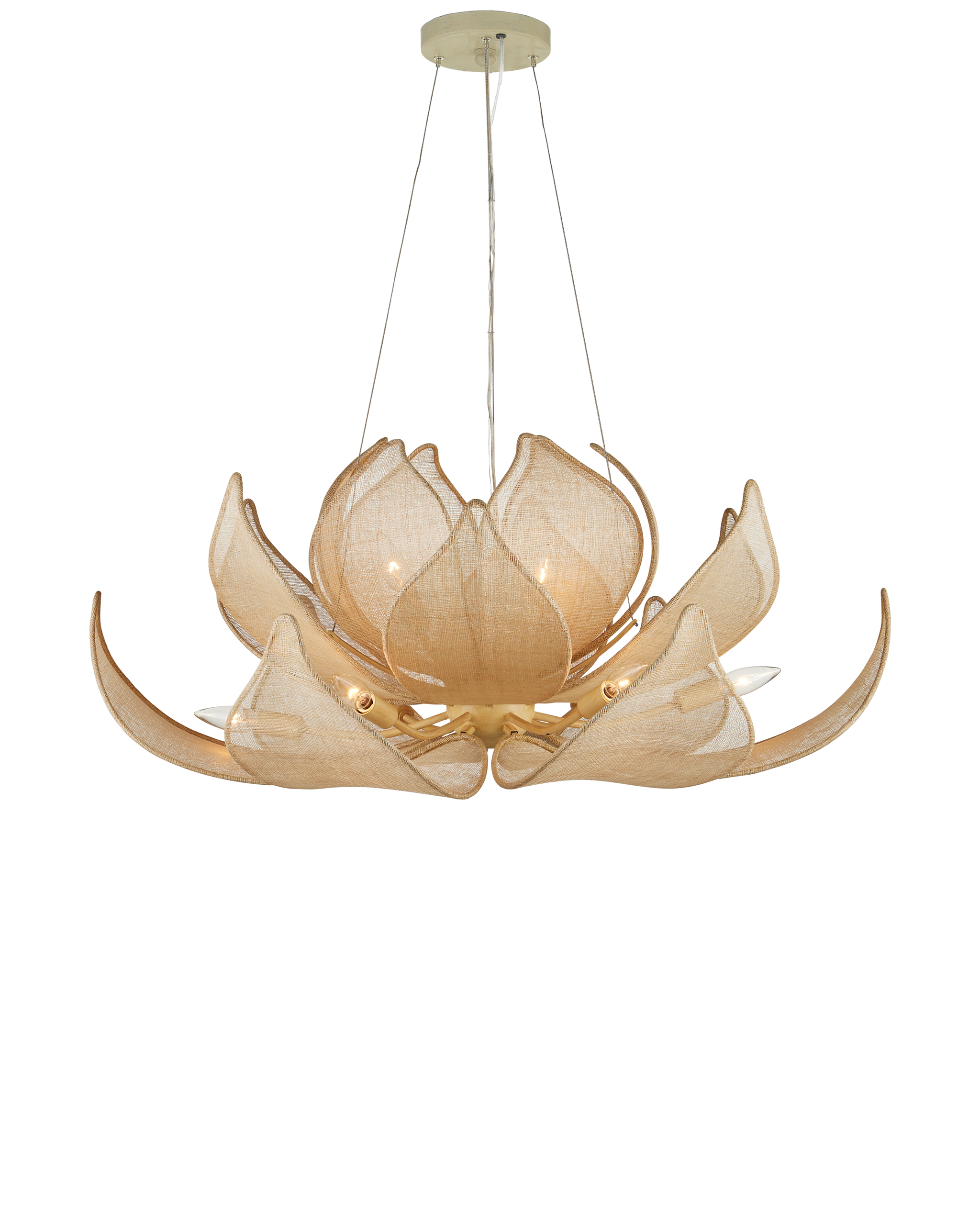 Currey & Company Oblivion Chandelier