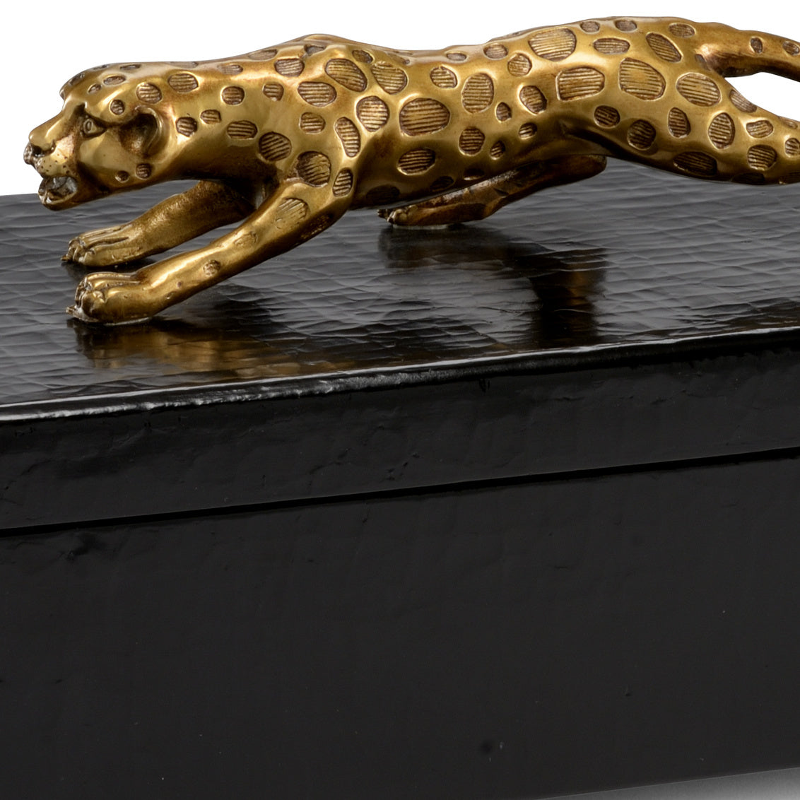 Chelsea House Cheetah Box Black