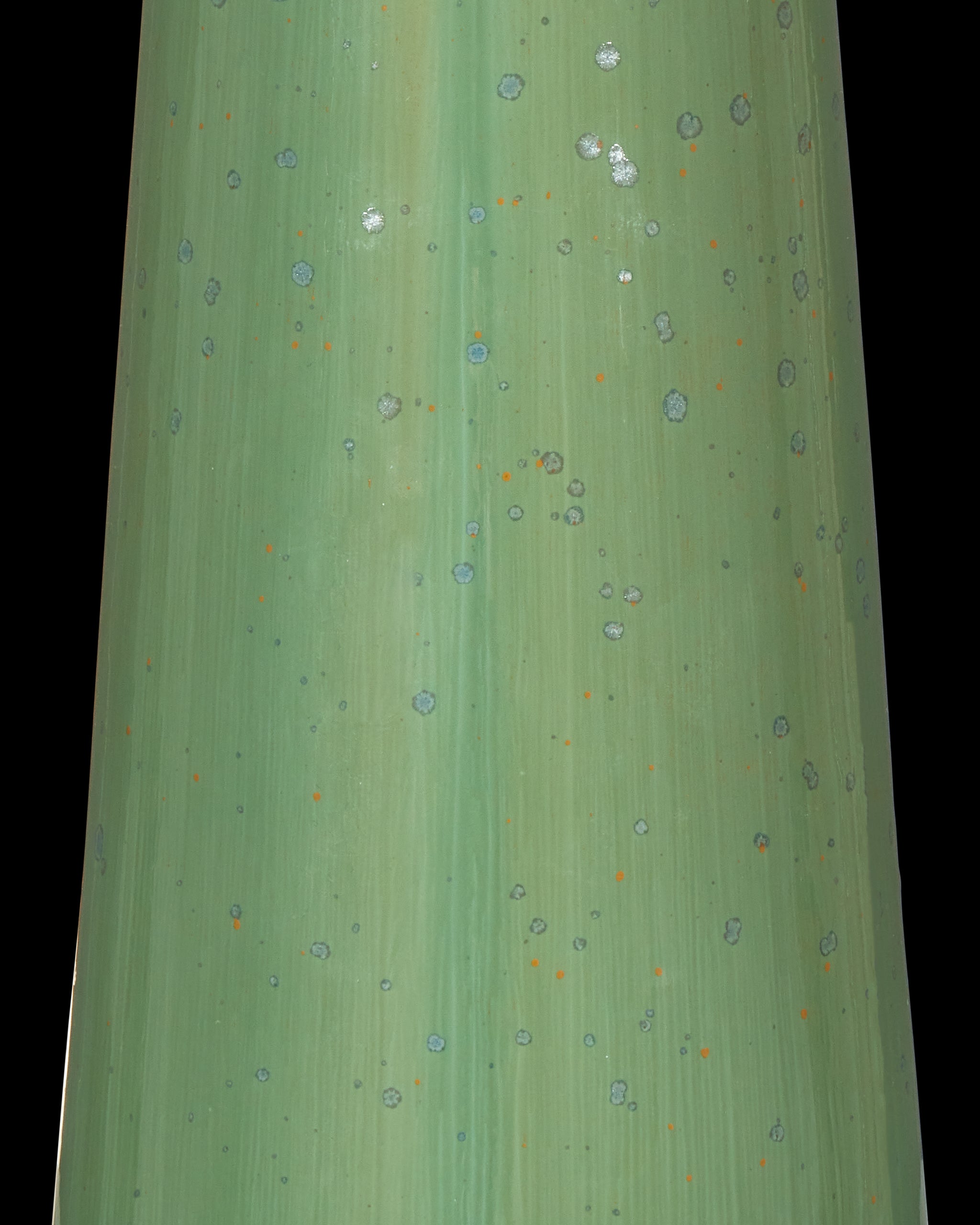 Currey & Company Grassington Table Lamp