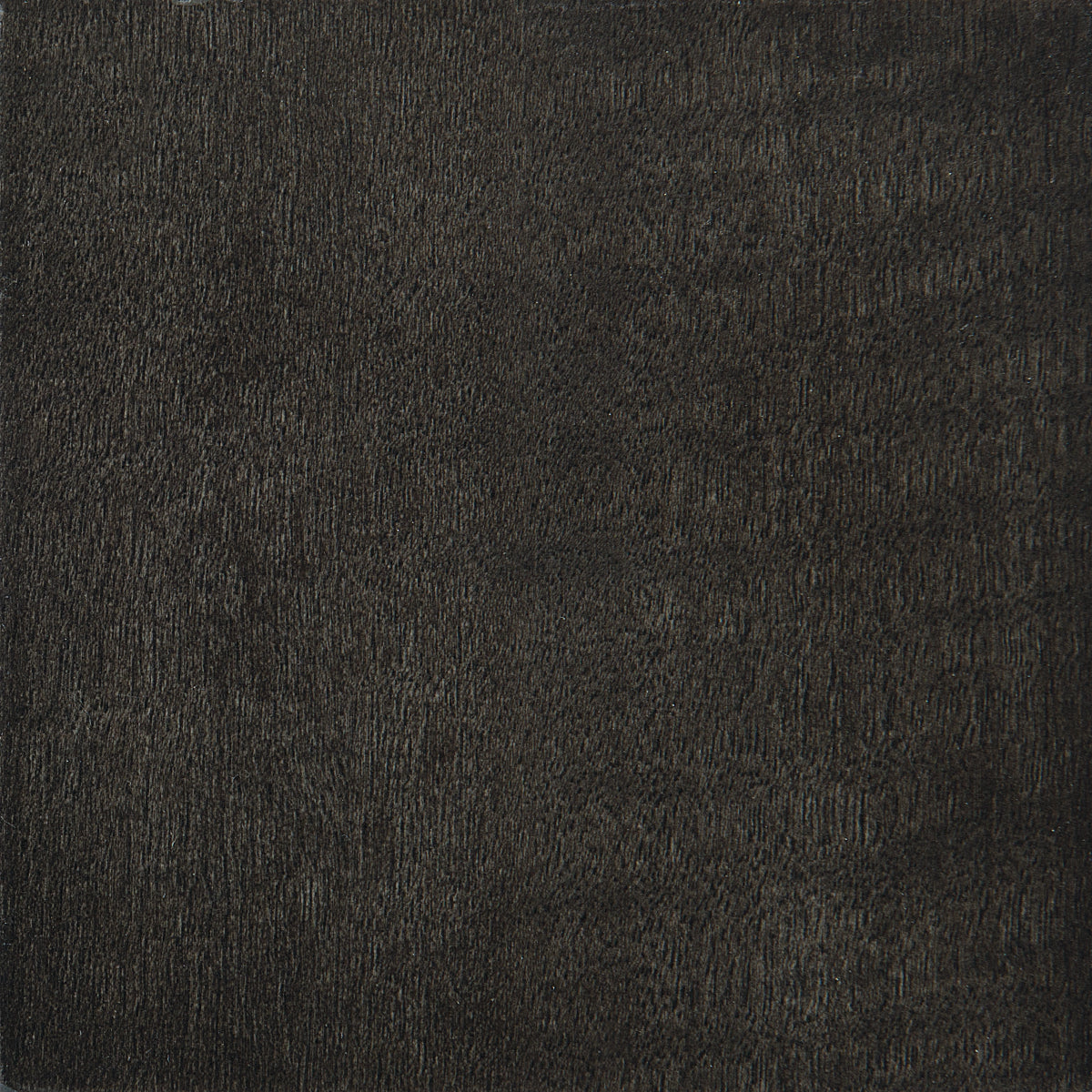 Caracole Good Evening