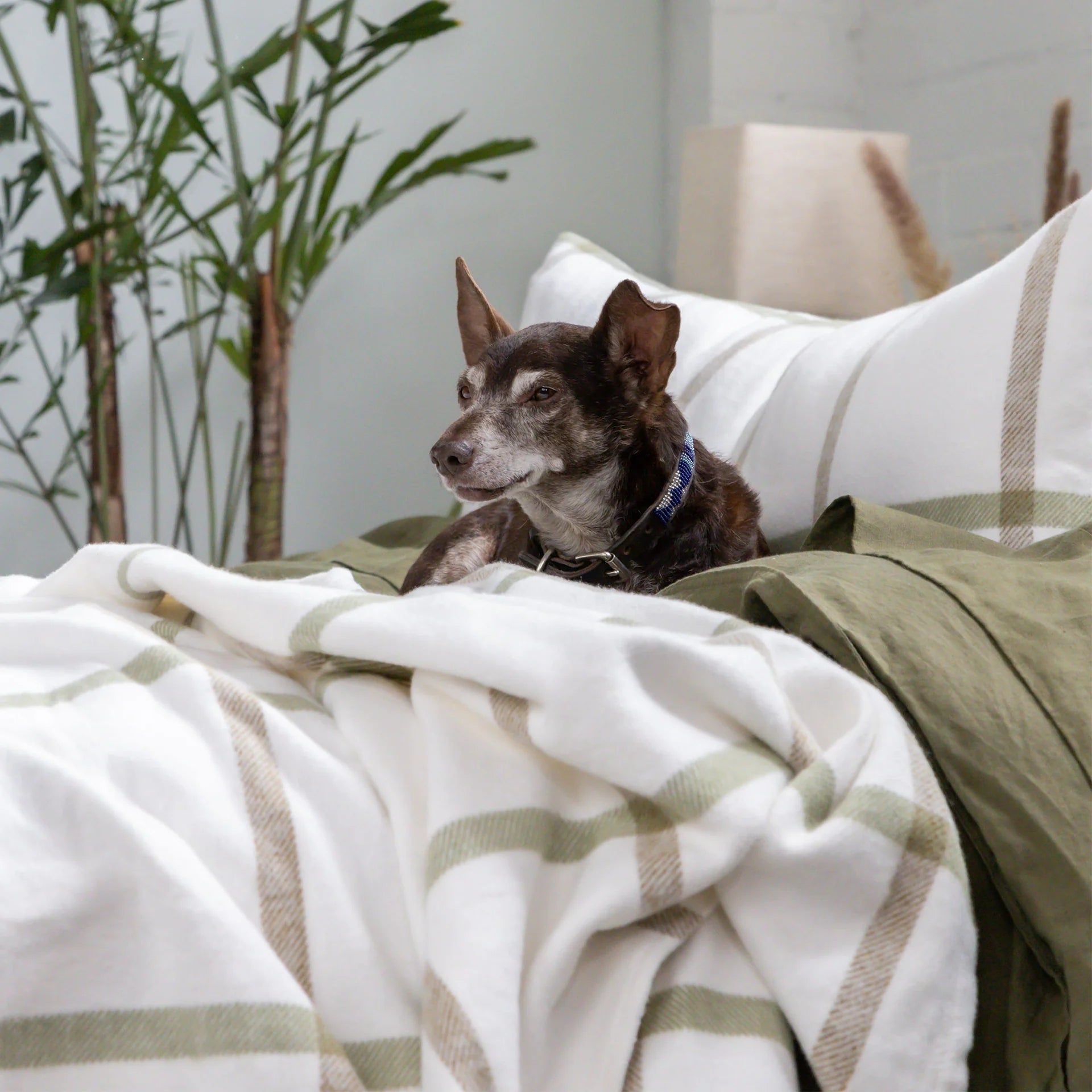 Pom Pom At Home Copenhagen Blanket