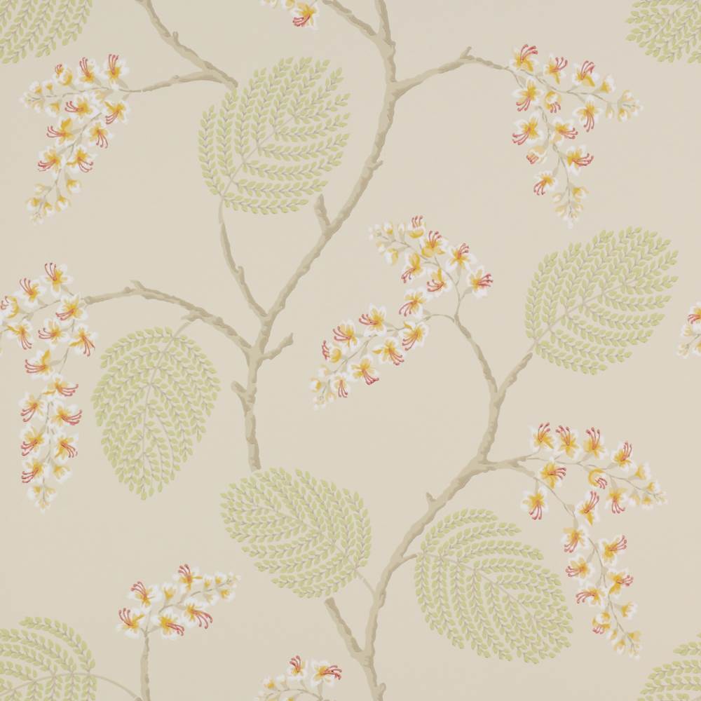 Colefax and Fowler Atwood Wallpaper