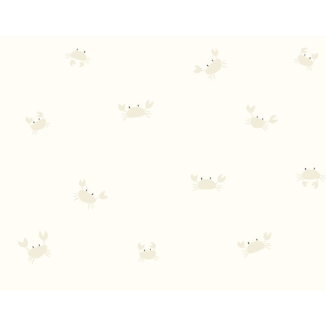 Yuki Osada Black Eyed Crabs Wallpaper