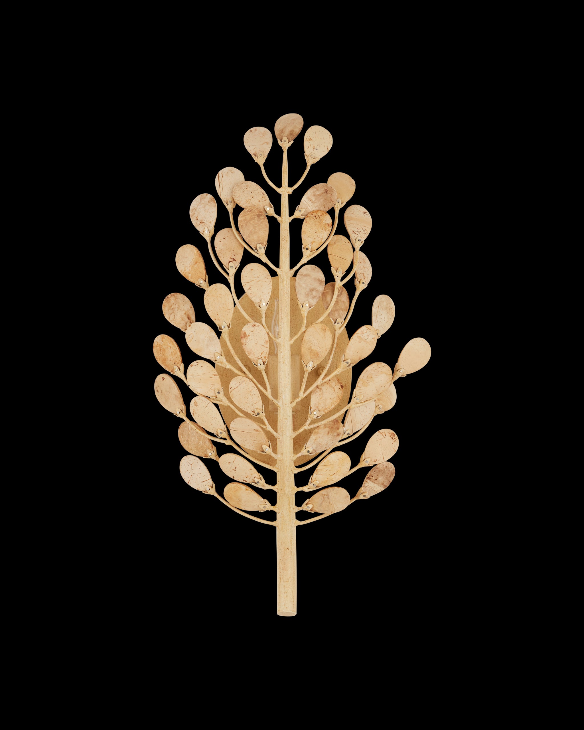 Currey & Company Maypan Wall Sconce