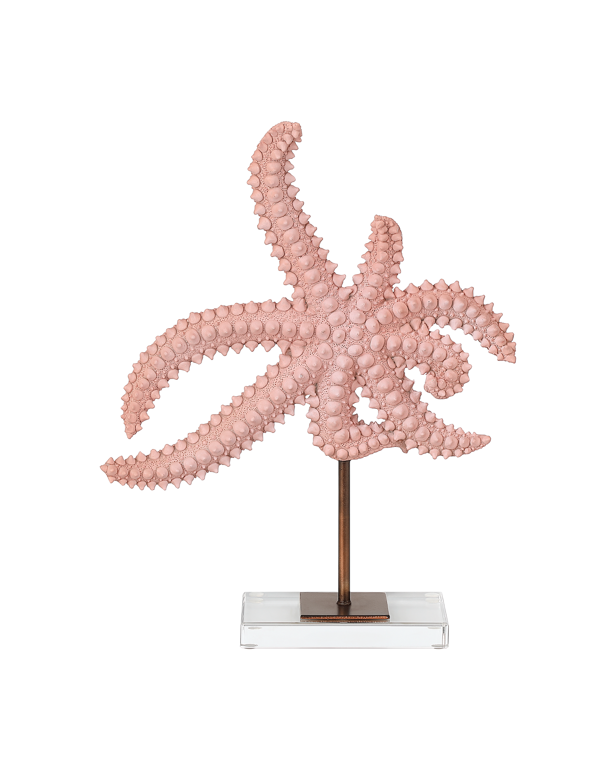 Currey & Company Starfish Set Of 2