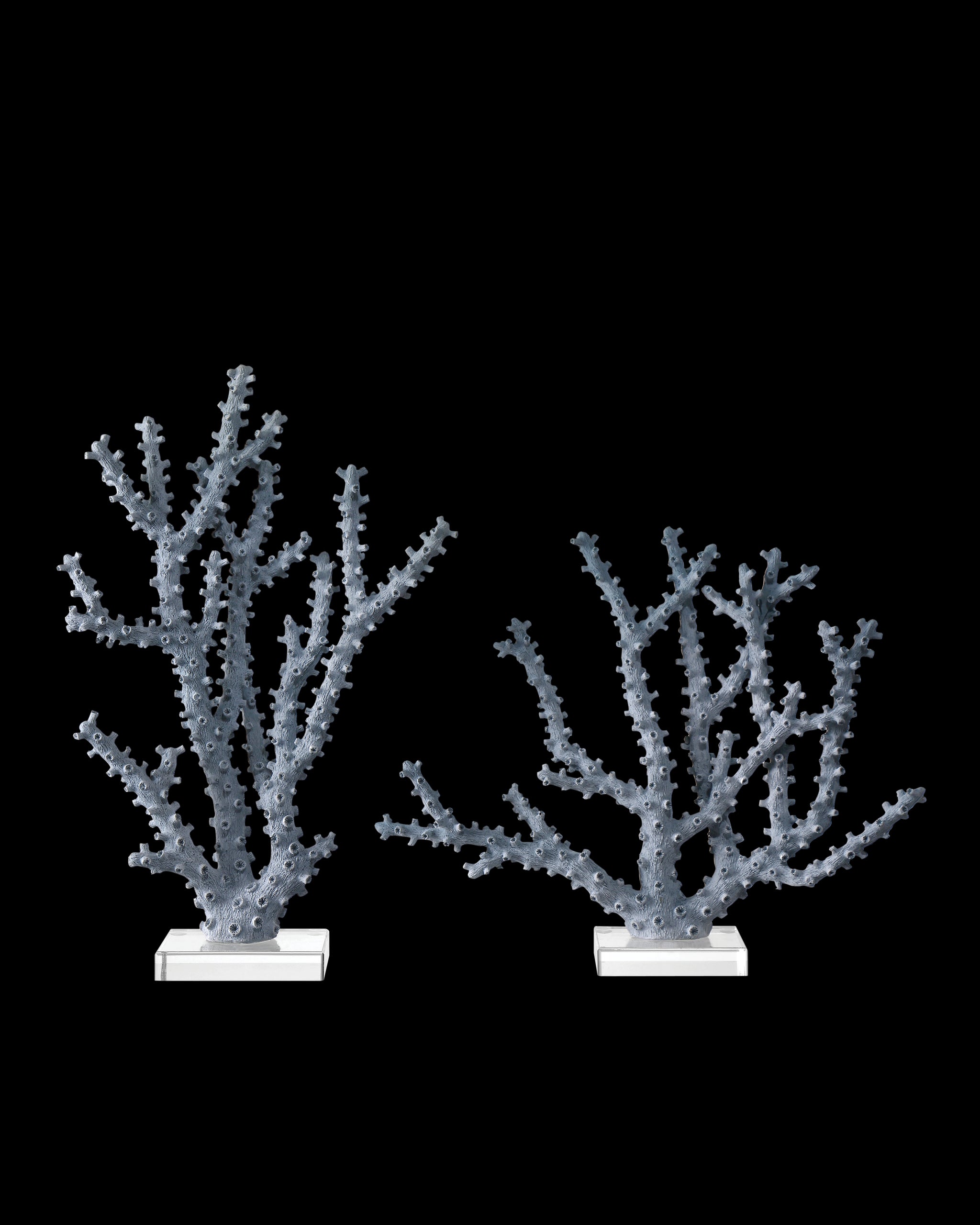Currey & Company Blue Coral Set Of 2