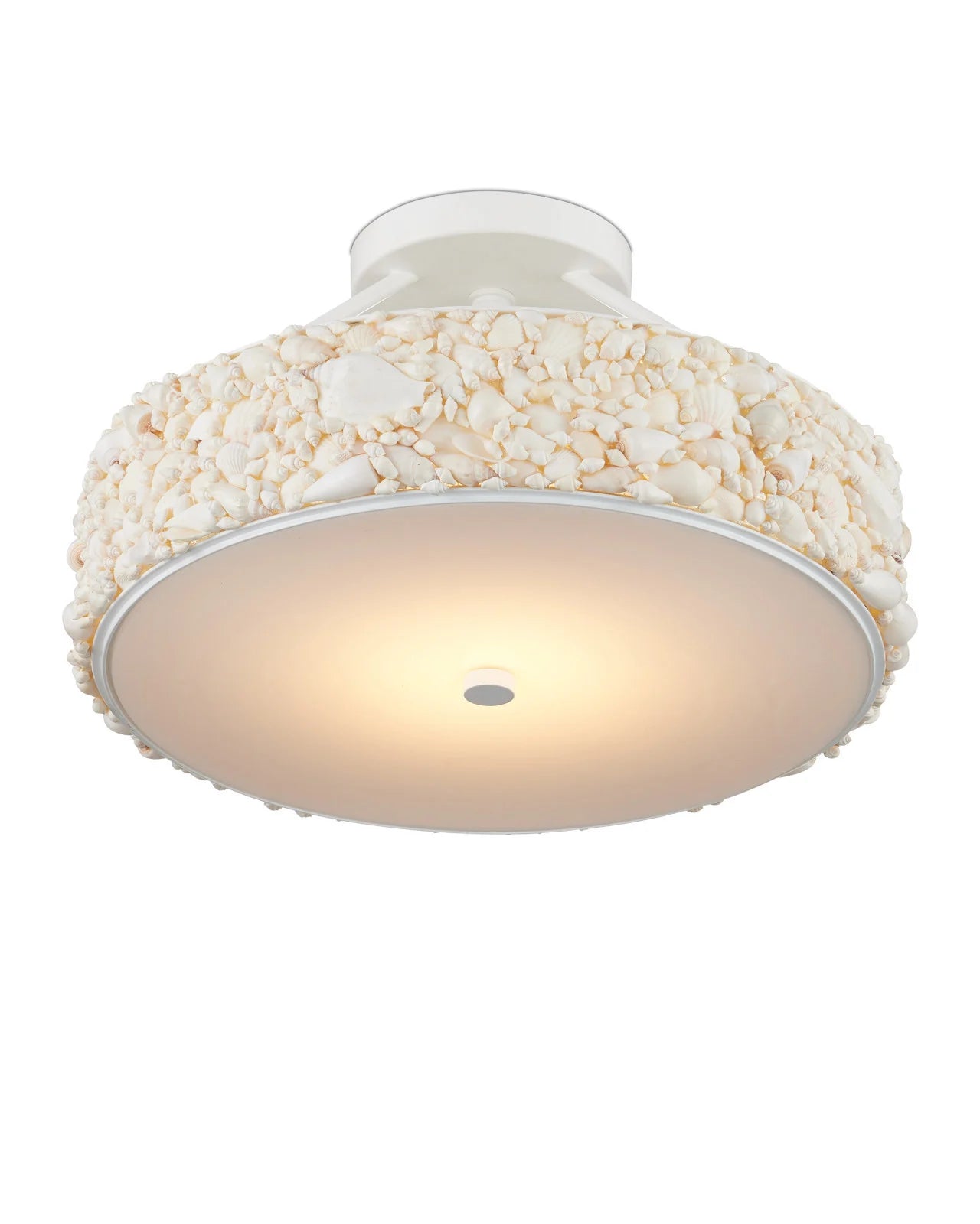 Currey & Company 10.5" X 18.5" Turbinella 1 Light Semi Flush Mount