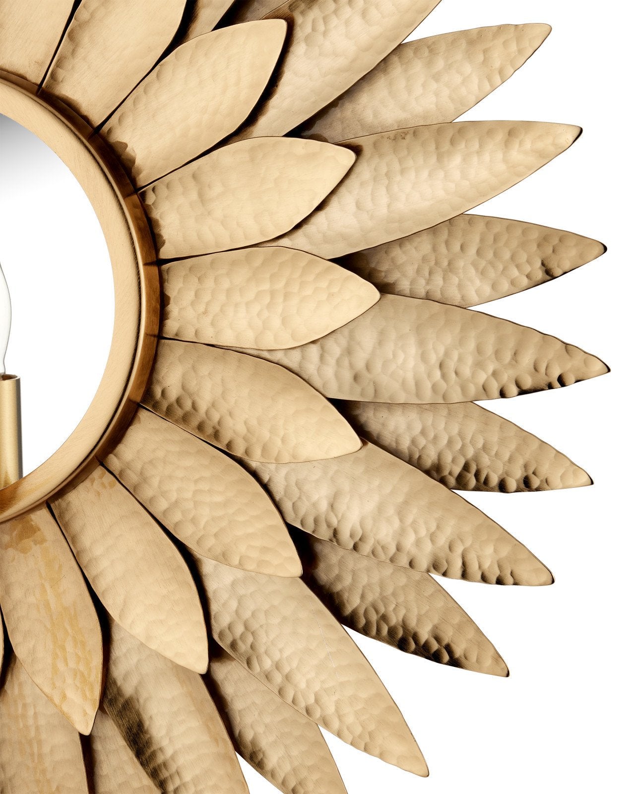 Currey & Company Plumage Brass 1 Light Wall Sconce