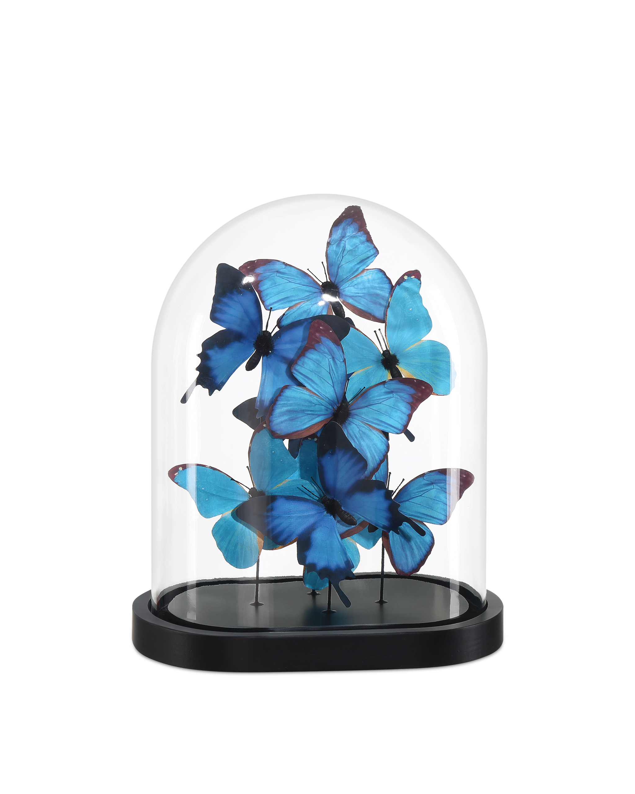 Currey & Company Rue De Bac Blue Medium Butterflies