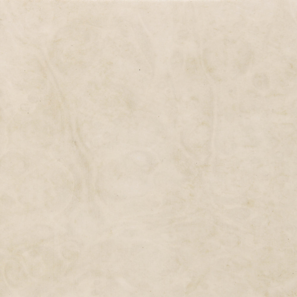 Caracole Finishing Up