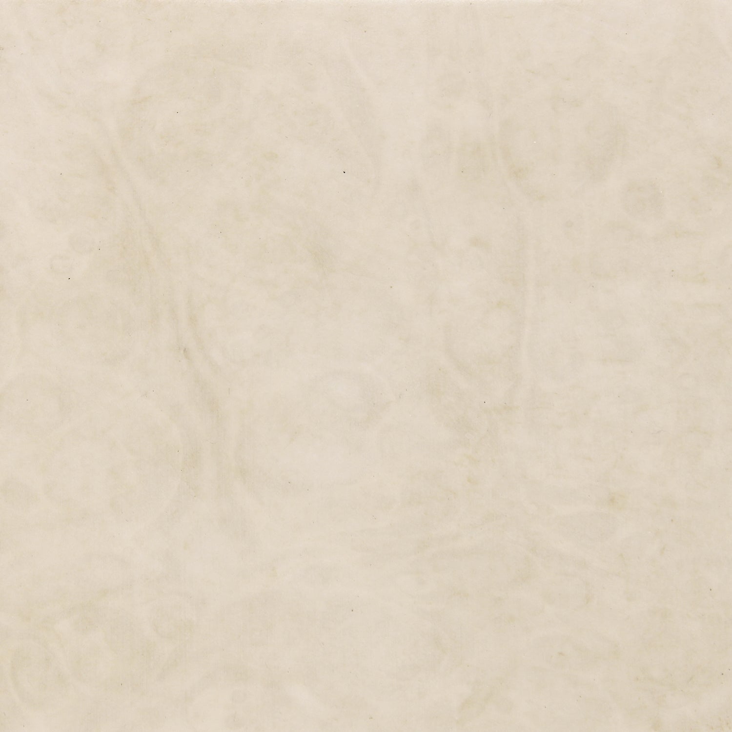 Caracole Finishing Up