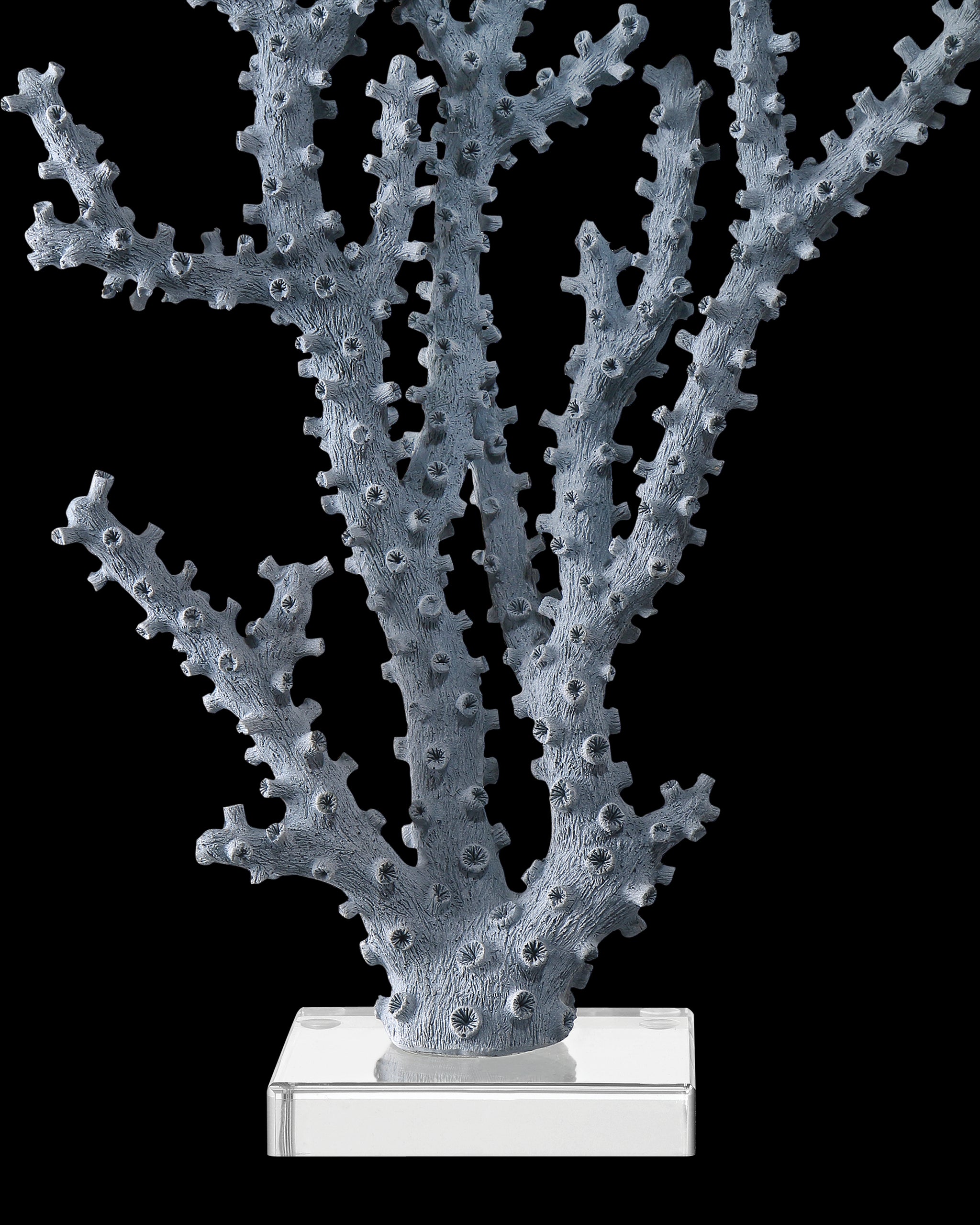 Currey & Company Blue Coral Set Of 2