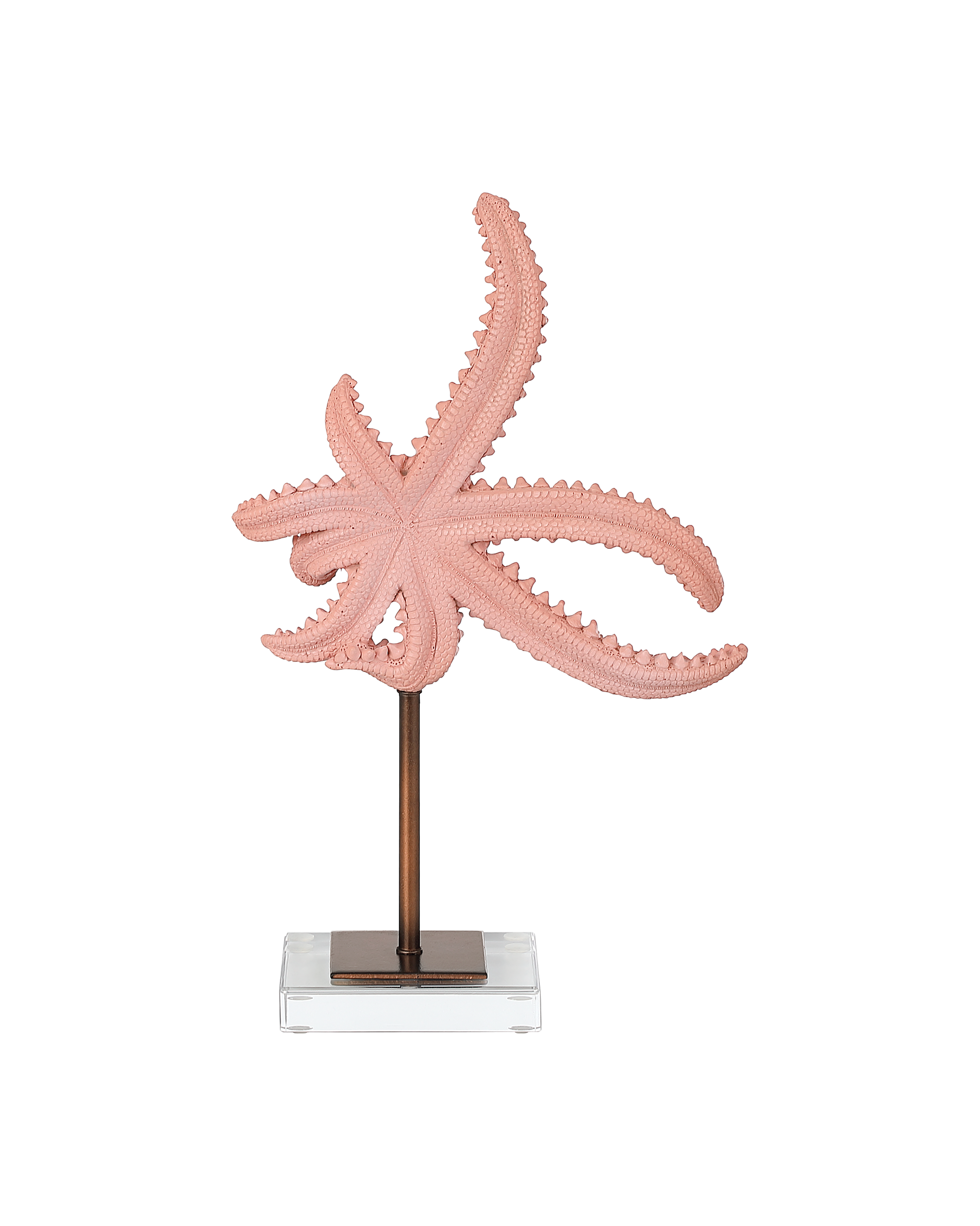 Currey & Company Starfish Set Of 2