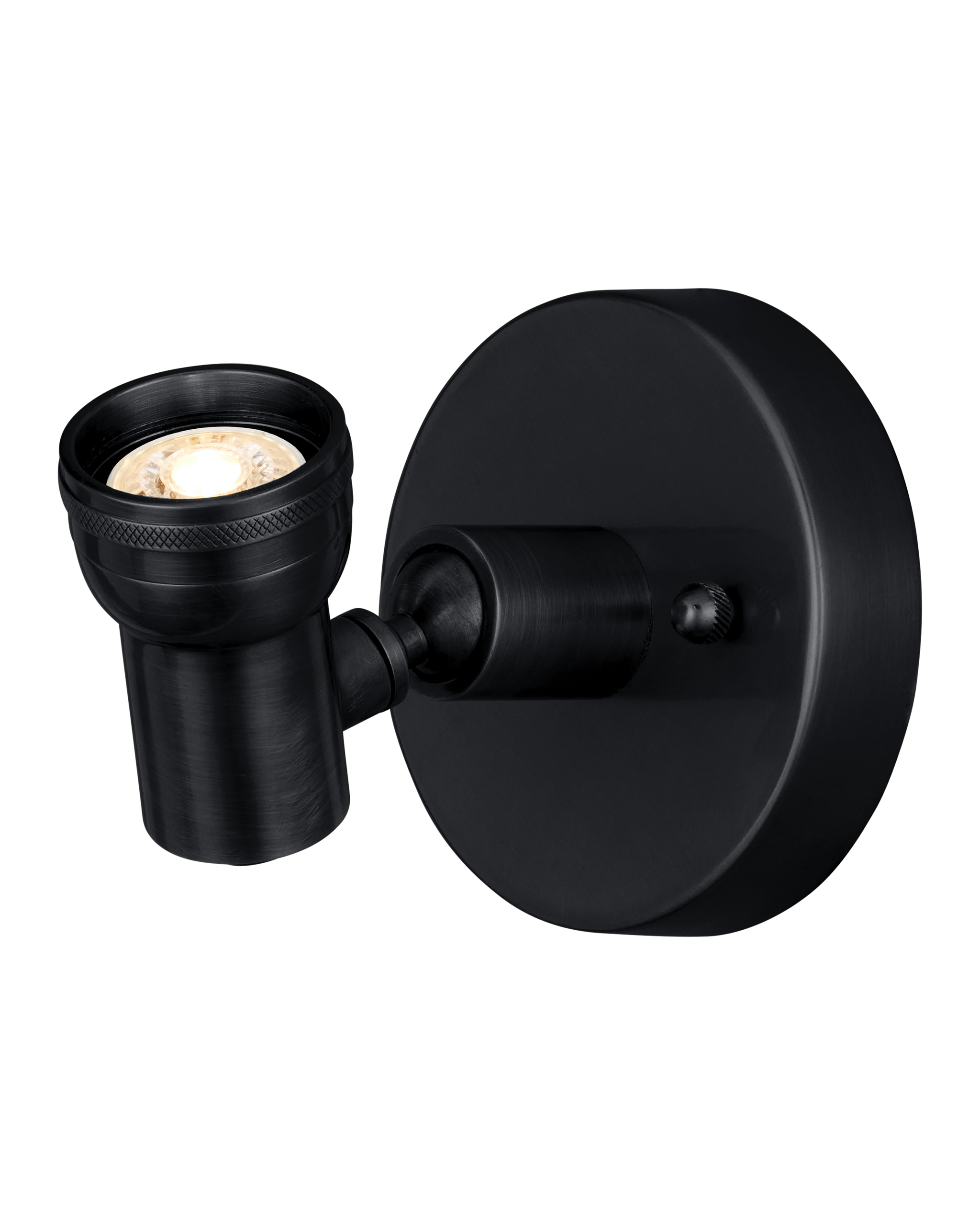 Currey & Company Patterson Picture Light