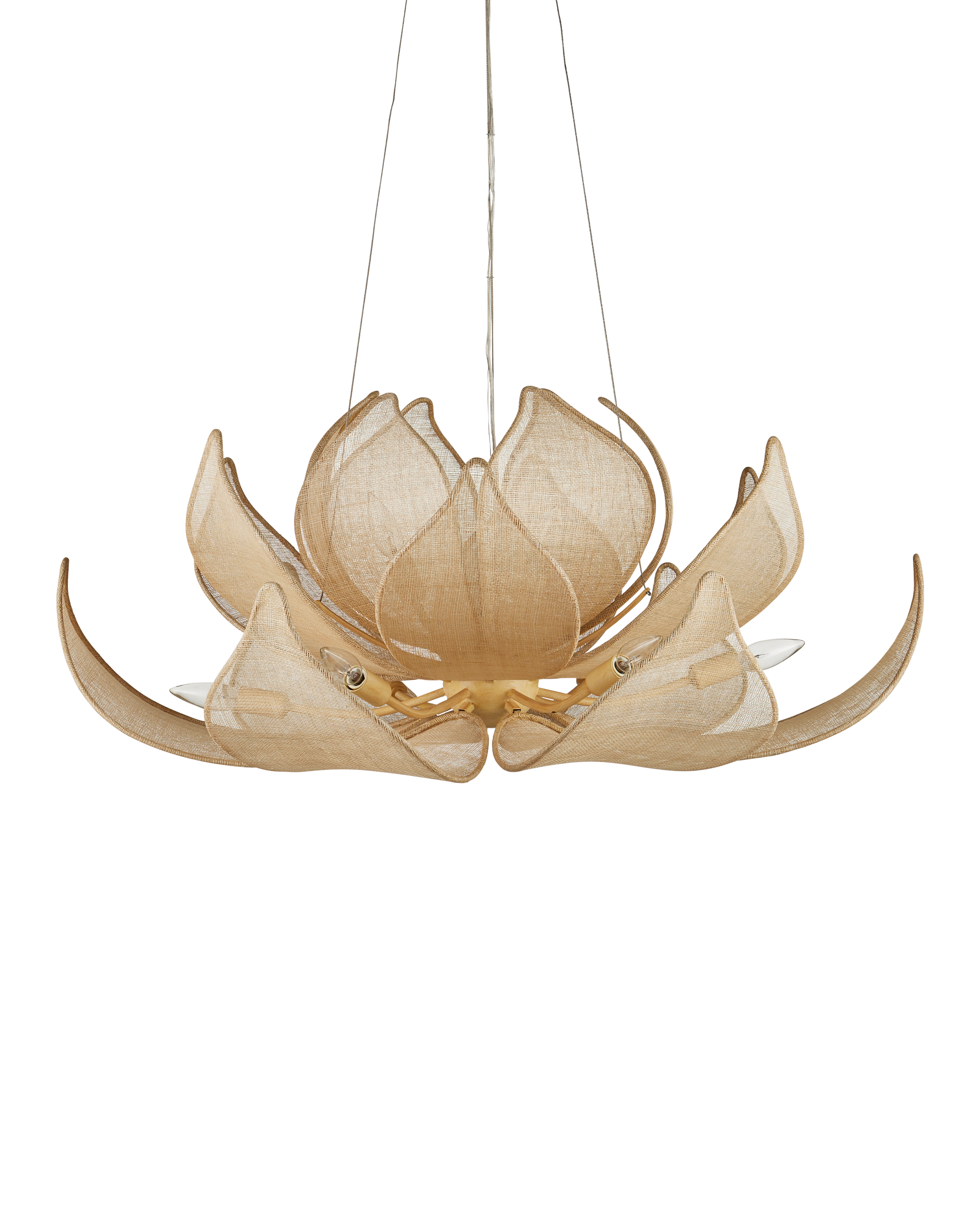 Currey & Company Oblivion Chandelier