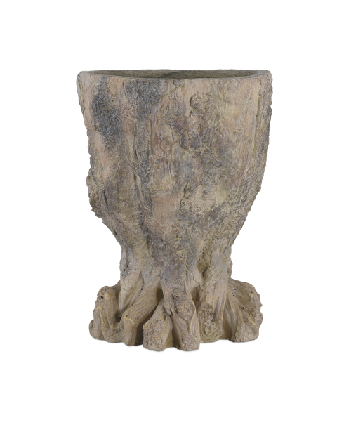 Currey & Company Old Growth Medium Planter