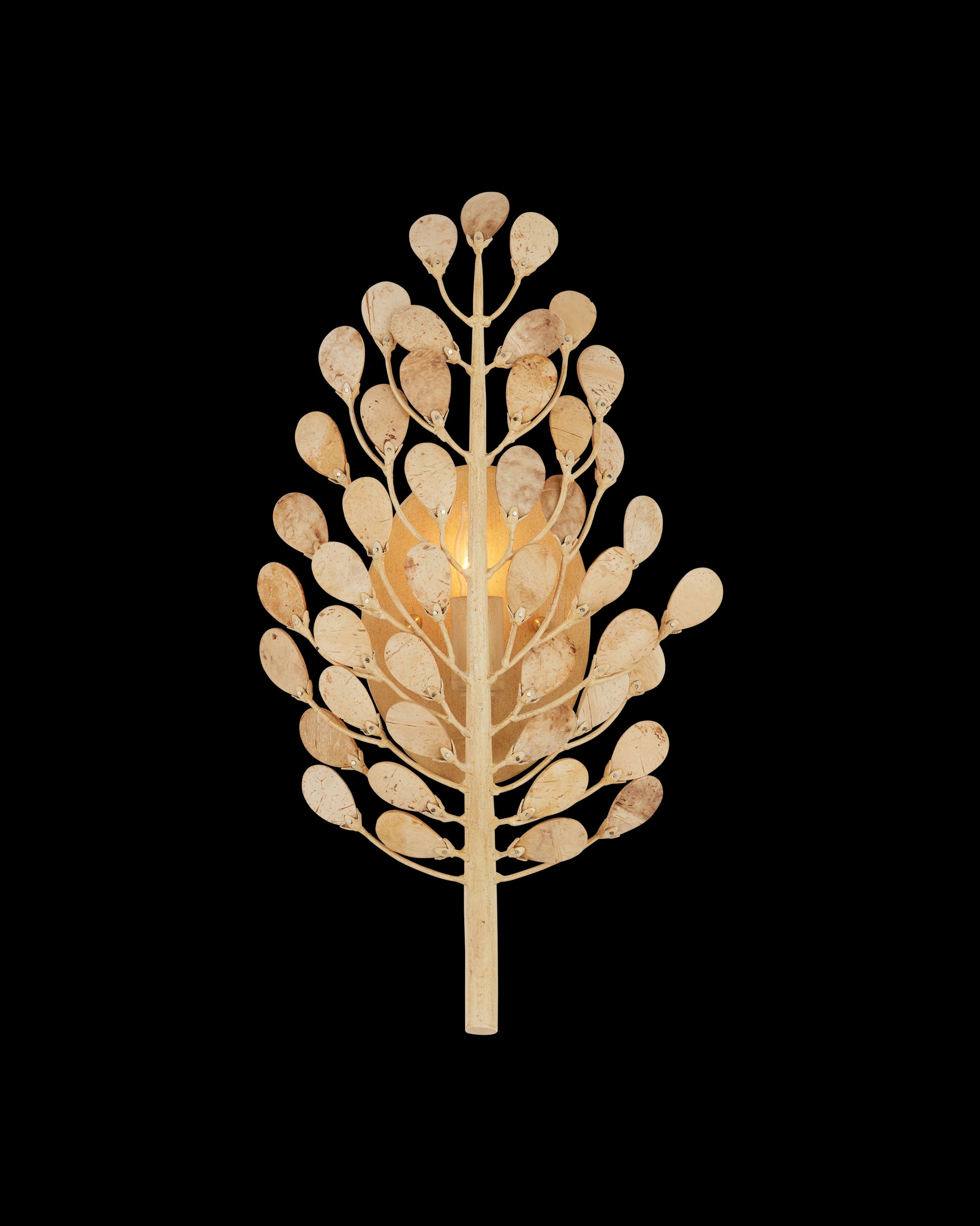 Currey & Company Maypan Wall Sconce