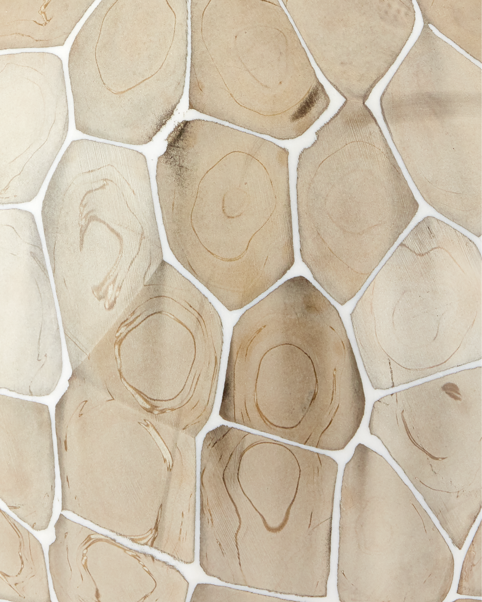 Currey & Company Runnell Glass Vase Set Of 2