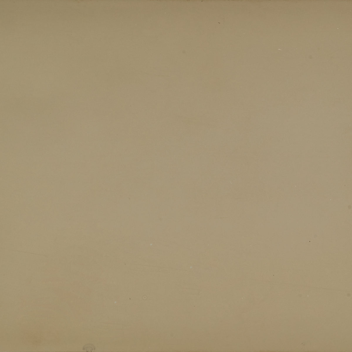 Caracole A Classic Beauty