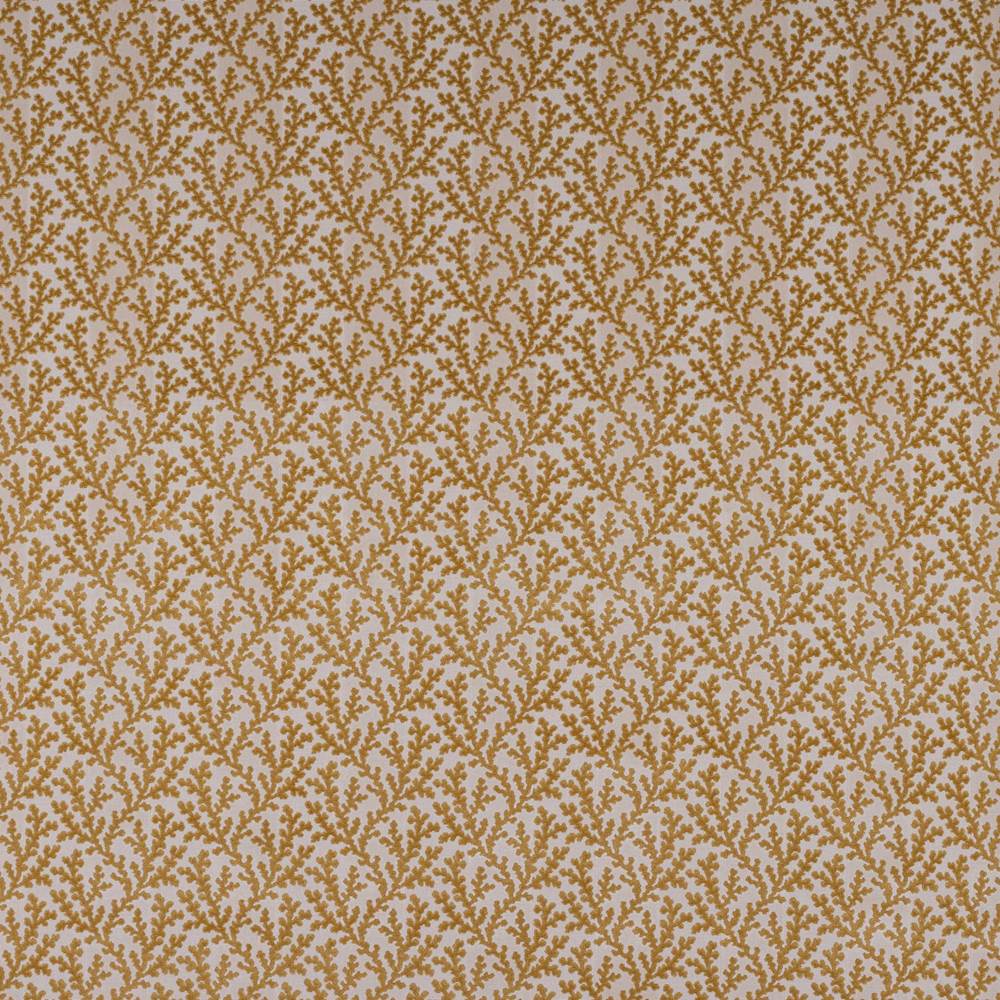 Colefax and Fowler Pelham Fabric