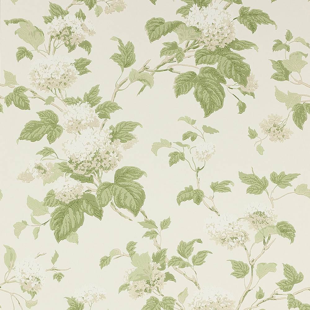 Colefax and Fowler Chantilly Wallpaper