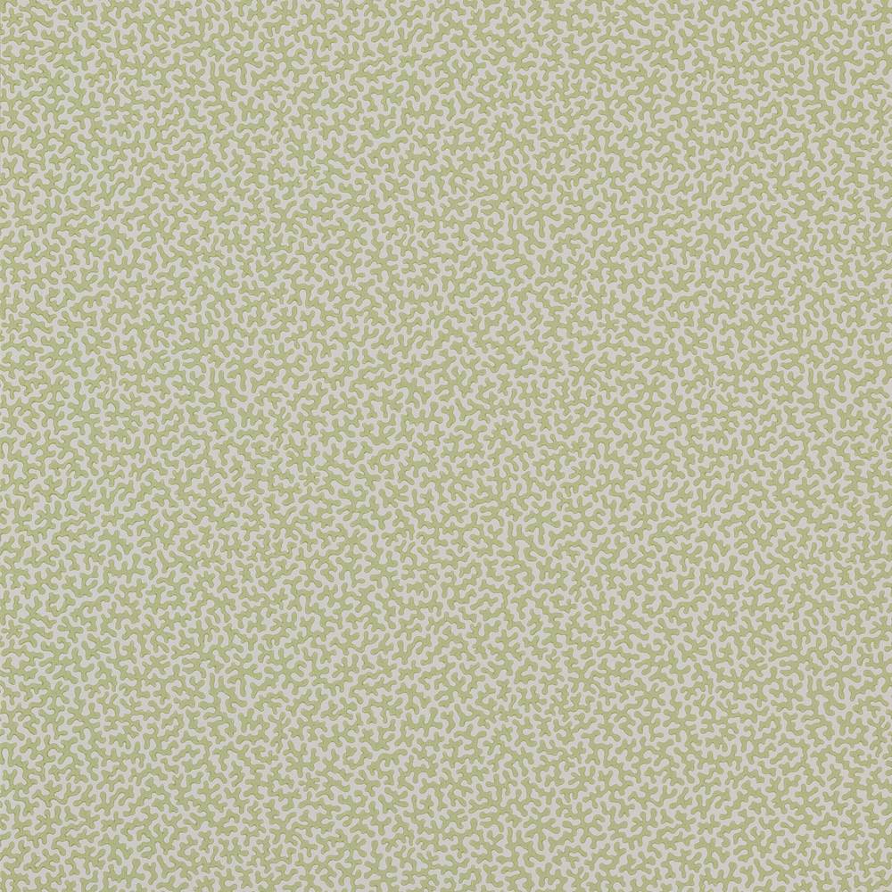 Colefax and Fowler Wendle Wallpaper