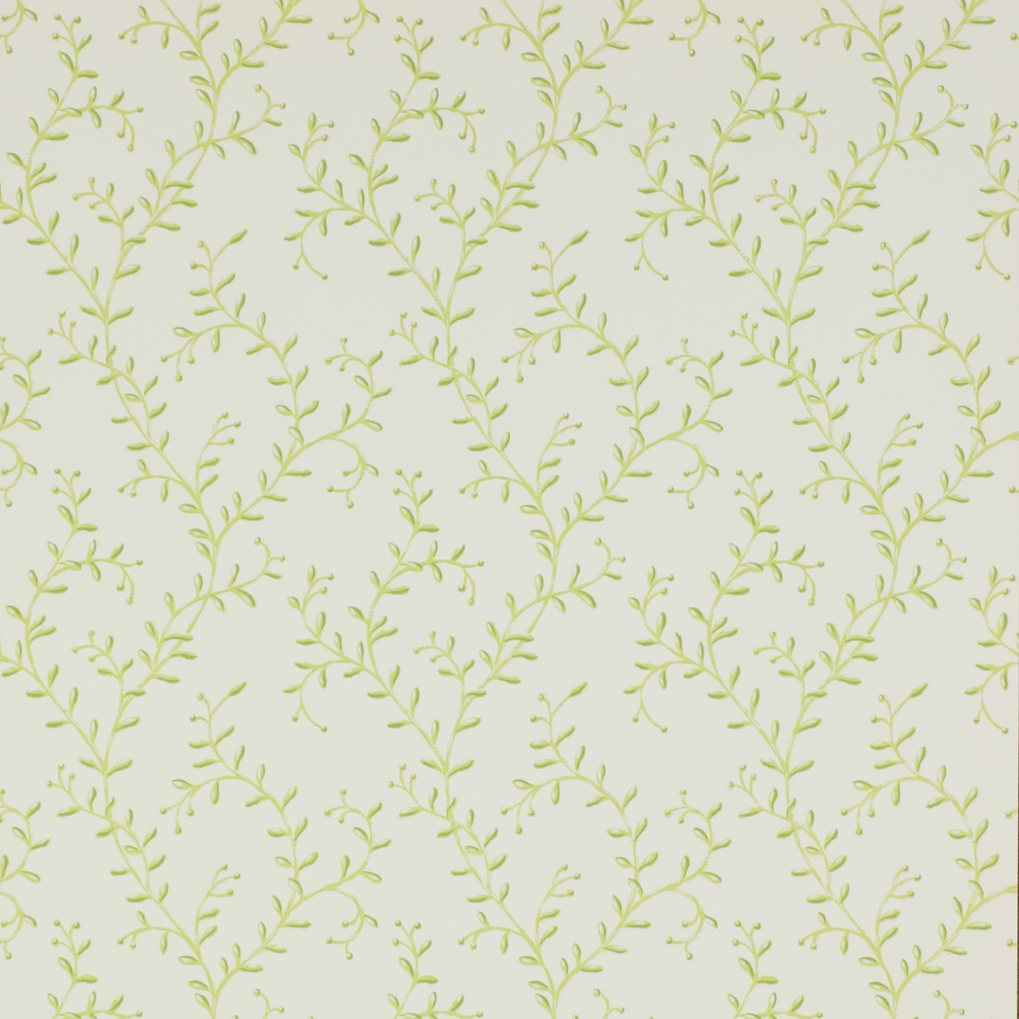 Colefax and Fowler Leafberry Wallpaper