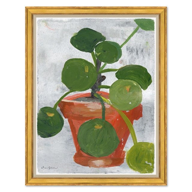 Dana Gibson Money Plant
