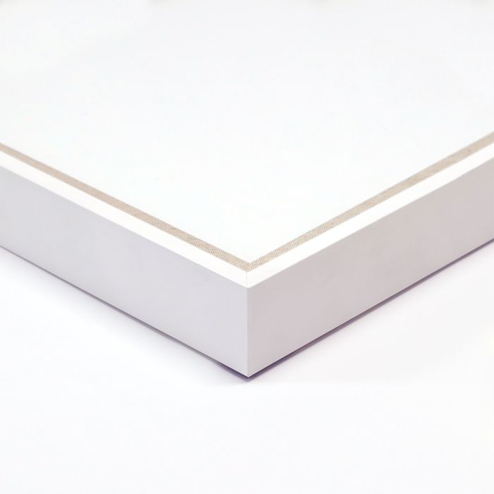 Natural Curiosities Black and White Herbarium Art