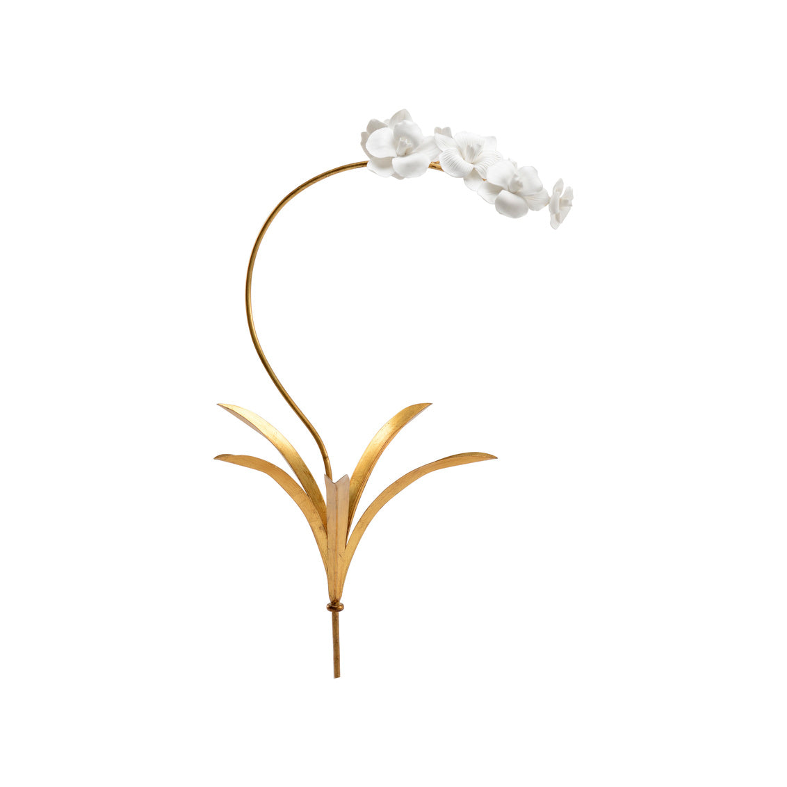 Chelsea House Orchid Stem