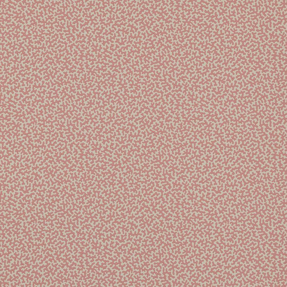 Colefax and Fowler Wendle Wallpaper
