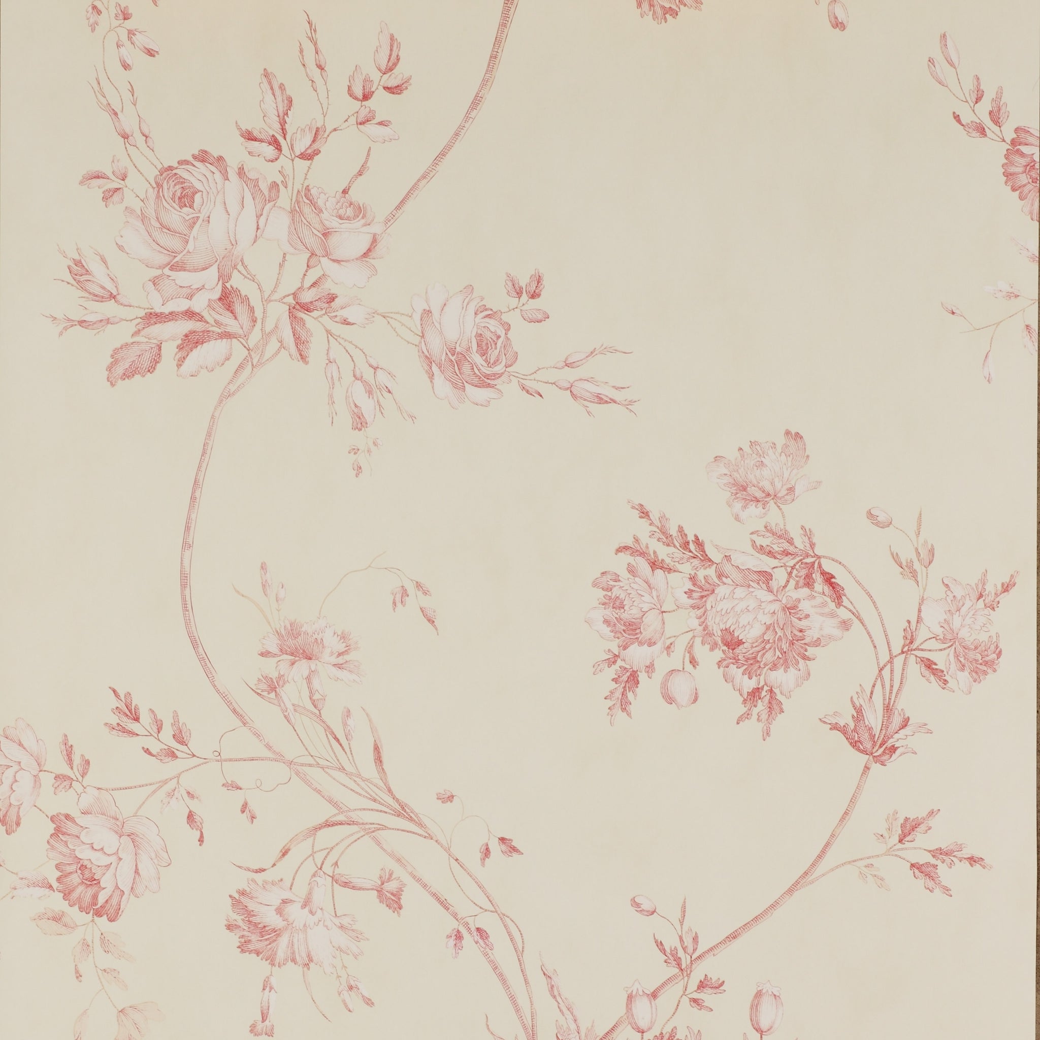 Colefax and Fowler Darcy Wallpaper