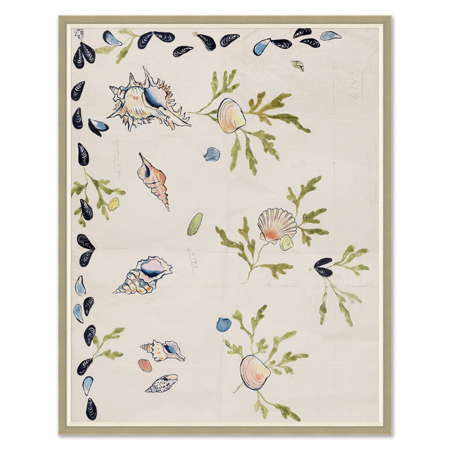 Paule Marrot Shell 2 Art