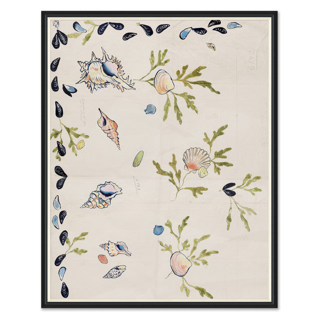 Paule Marrot Shell 2 Art