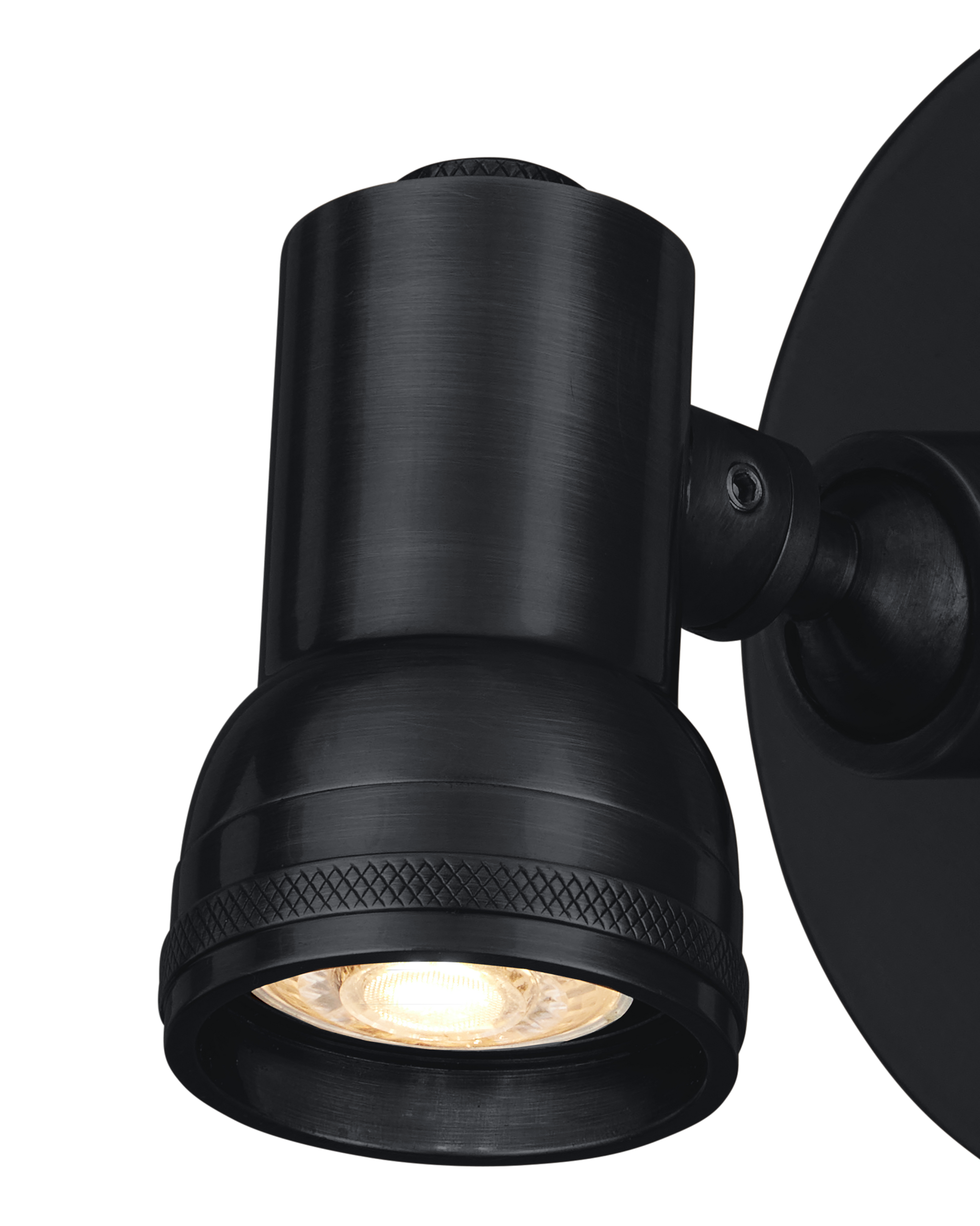 Currey & Company Patterson Picture Light