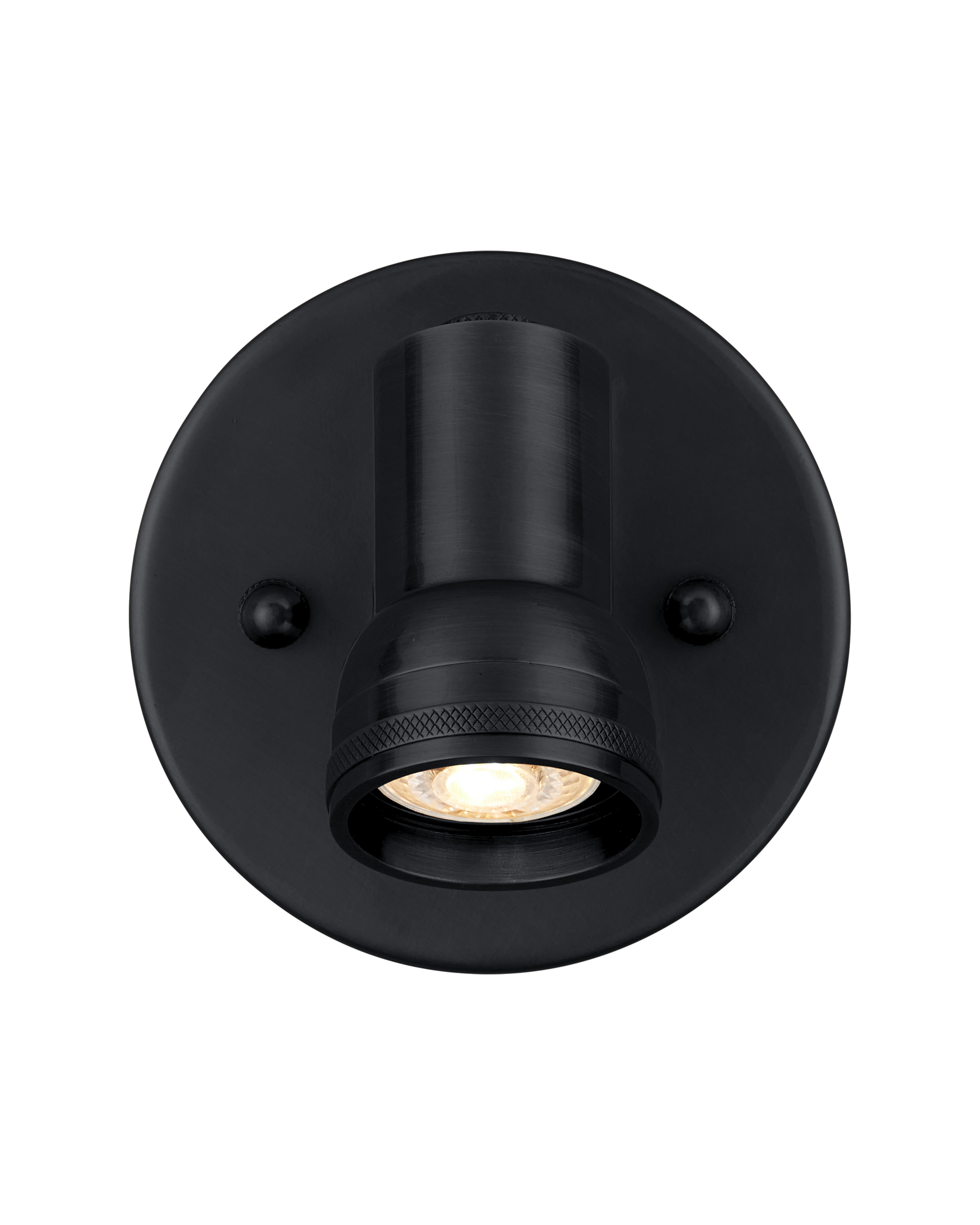 Currey & Company Patterson Picture Light